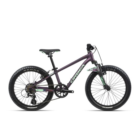 ORBEA MX 20 XC